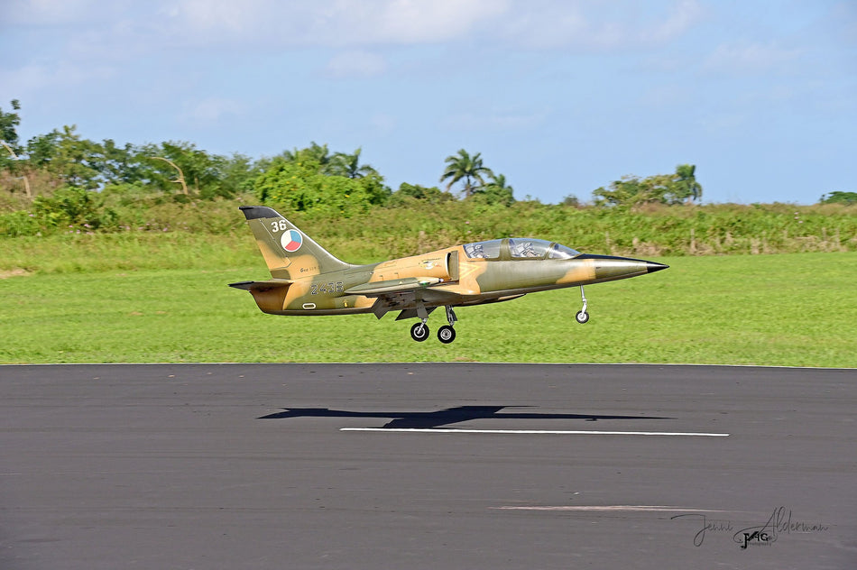 L-39 Albatros, Top RC Model with TRCM Electric Retracts