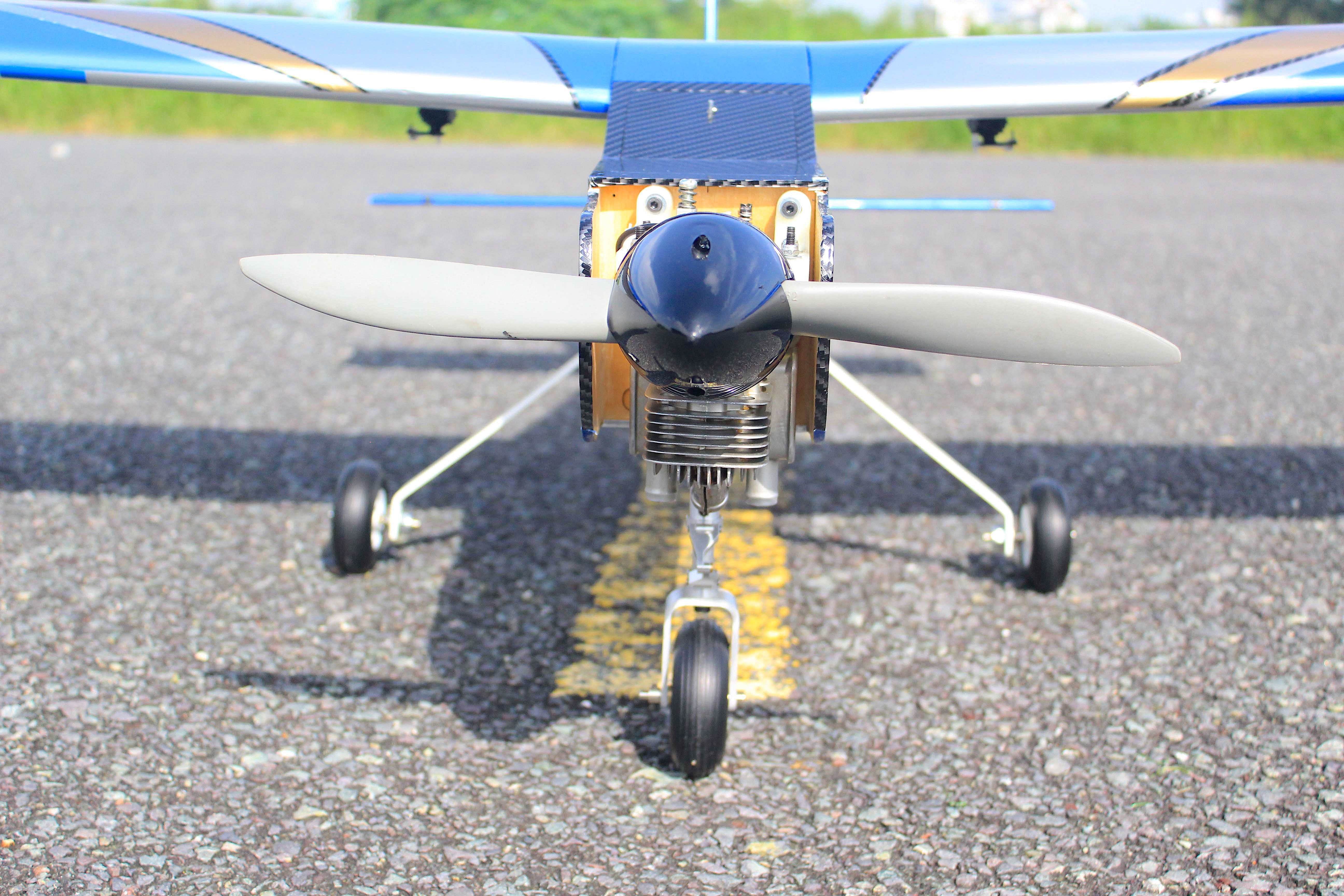 Seagull Models Arising Neo 74