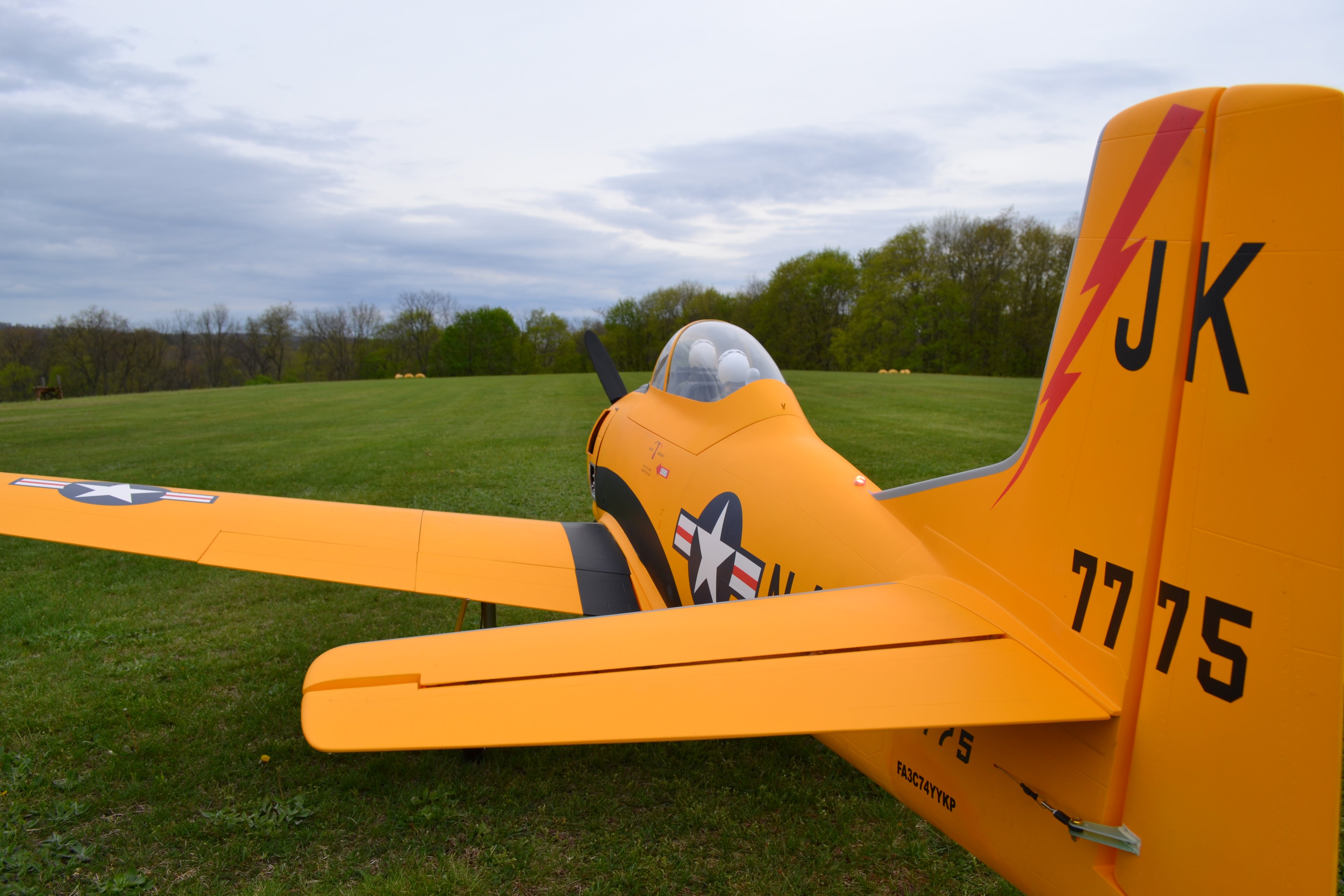 dsc_0056.jpg?v=1749076681&
