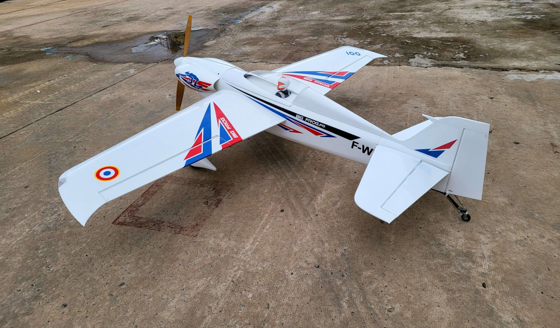 Nemesis NXT Big Frog, White (ARF), Seagull Models – Gator RC