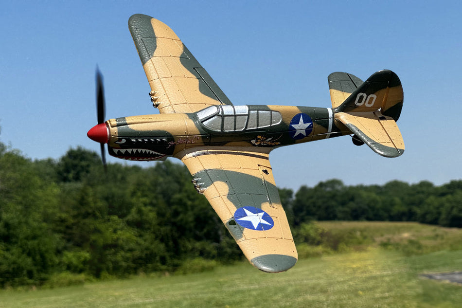 Rage Curtiss P-40 Warhawk Micro RTF Airplane with PASS (Pilot Assist Stability Software) System