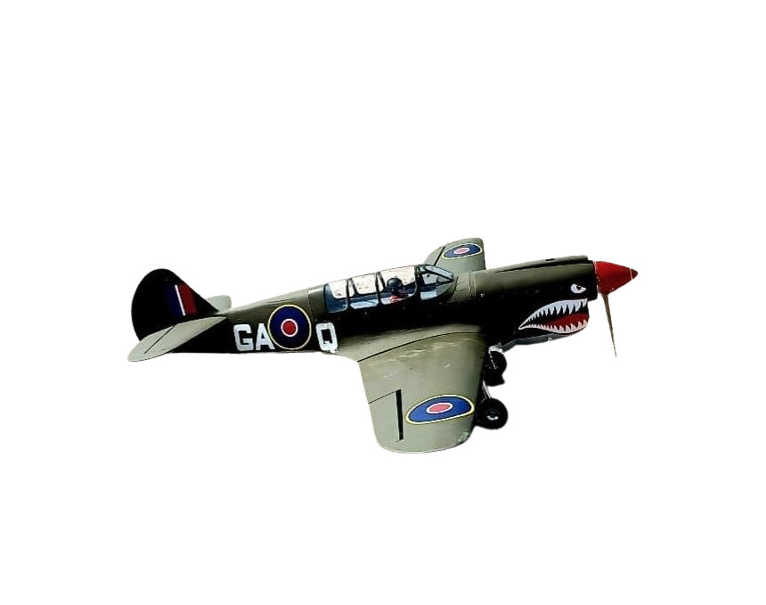 Curtiss P-40N Warhawk, Shark Head (decals in box), Seagull Models